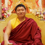 /imager/images/11533/Phakchok-Rinpoche-Lerab-Ling-2012_1de44af1defd3e669323a7c7845a8bc9.jpg