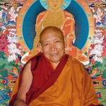 /imager/images/12587/Kyabje_Trulshik_Rinpoche_Rigpa_1de44af1defd3e669323a7c7845a8bc9.jpg